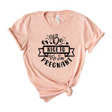 Be nice to me I m pregnant