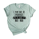 I may not be perfect but at least I am not you