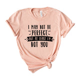 I may not be perfect but at least I am not you