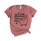 Whole Llama learning going on